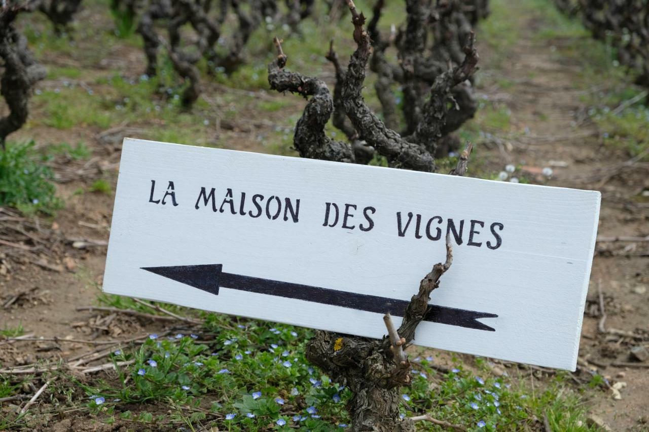 La Maison Des Vignes Charentay Exterior photo